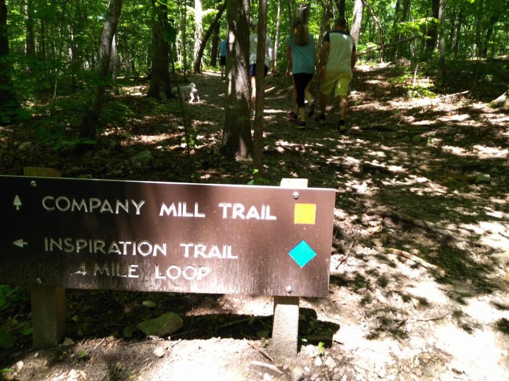 A Stroll Through Time: Exploring Umstead State Park's Company Mill Trail